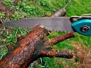 Best Backpacking Saw